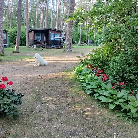Osrodek Wypoczynkowy Warmia אכסניה Butryny